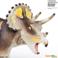 Triceratops Double Brow Horn